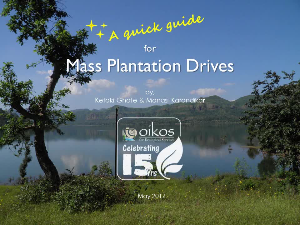 Plantation Guidelines 